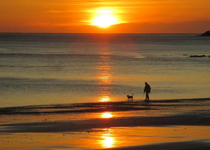 Guest house The Kensington